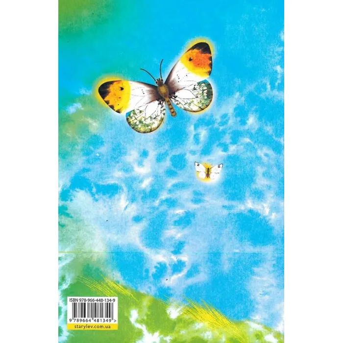 Книга Метелики перетворюються - Галина Вдовиченко Видавництво Старого Лева (9789664481349) изображение 2