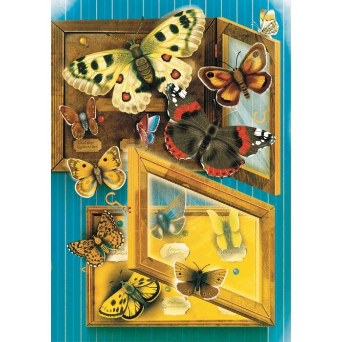 Книга Метелики перетворюються - Галина Вдовиченко Видавництво Старого Лева (9789664481349) изображение 8