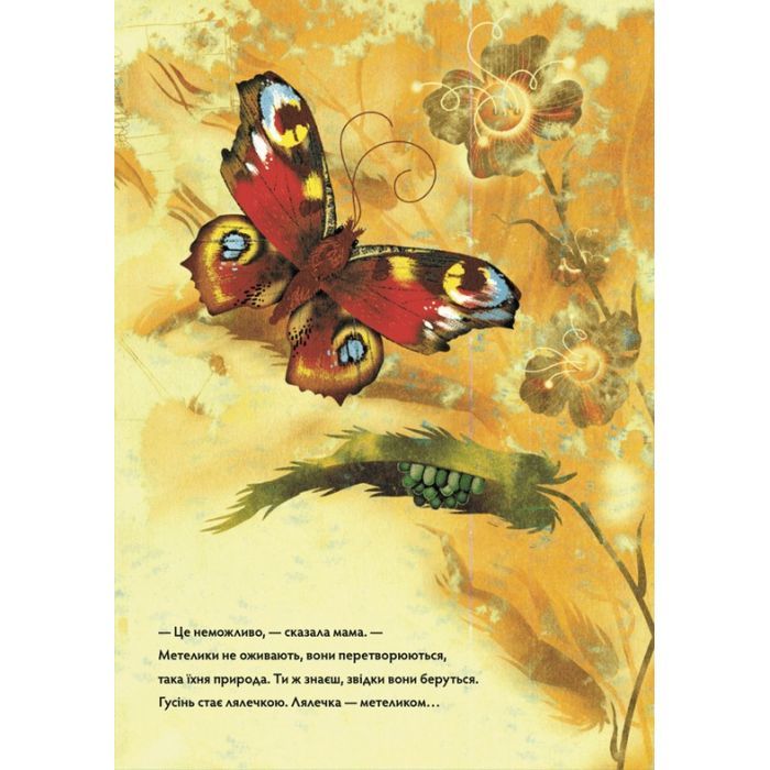 Книга Метелики перетворюються - Галина Вдовиченко Видавництво Старого Лева (9789664481349) изображение 9