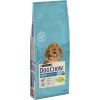 Сухой корм для собак Purina Dog Chow Puppy Lamb со вкусом ягненка 14 кг (7613034487872)