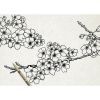 Лайнер Sakura Набір Pigma Micron DESIGN, 3 шт (8710141130444) зображення 4