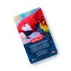 Карандаши цветные Derwent Chromaflow 12 цв. в металлическом пенале (5028252616119) изображение 7