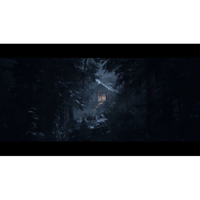Игра Sony UNTIL DAWN, BD диск (1000044321) изображение 3