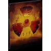 Игра PC S.T.A.L.K.E.R. 2 Ultimate Edition, код активації (1072008) изображение 12