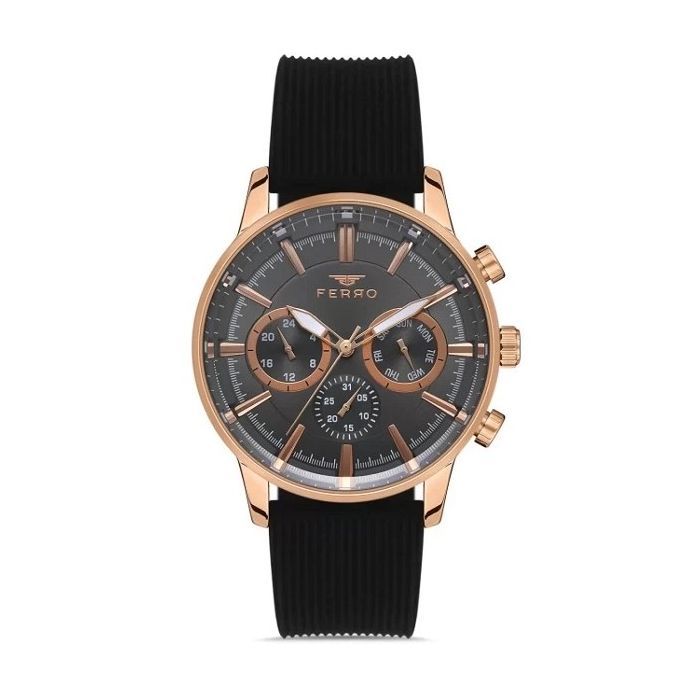 Наручний годинник Ferro FM11150D-J2