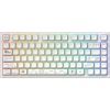 Клавіатура Dark Project ALU81 Terra Nova PBT RGB Mech G3MS Moonstone White (DPKB_NOVA_81_ANSI_WHITE_UA) зображення 4