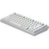 Клавіатура Dark Project ALU81 Terra Nova PBT RGB Mech G3MS Moonstone White (DPKB_NOVA_81_ANSI_WHITE_UA) зображення 5
