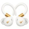 Наушники Anker SoundCore Sport X20 White (A3968G21)