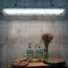 Лампочка EVROLIGHT L-1500 6400K 24Вт G13 T8 зображення 4