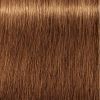 Фарба для волосся Indola Permanent Caring Color 8.34 - Світлий золотистий блонд мідний (4045787931709) зображення 2