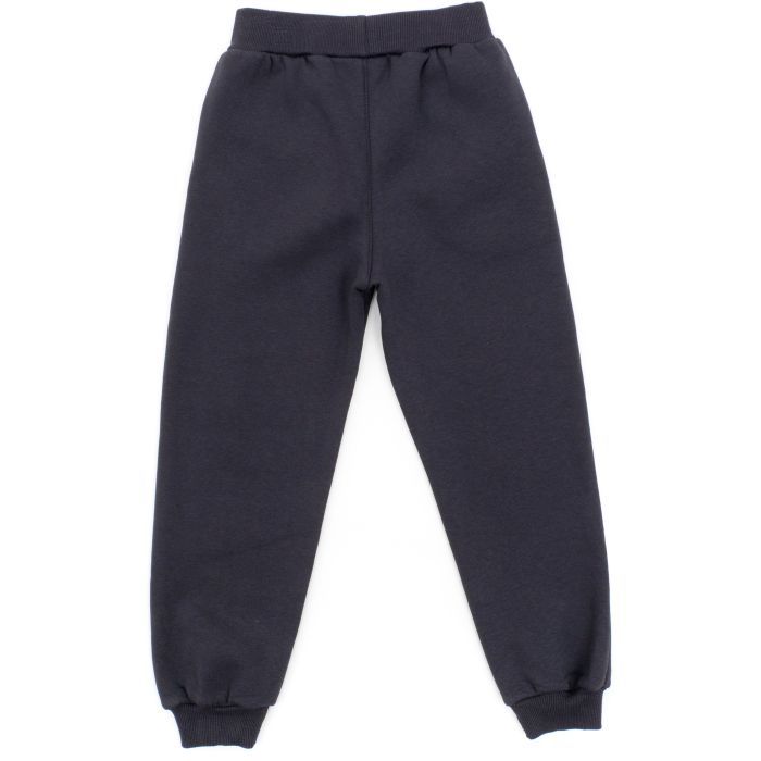 Спортивний костюм дитячий Smile на флісі (4225-122B-gray) зображення 5