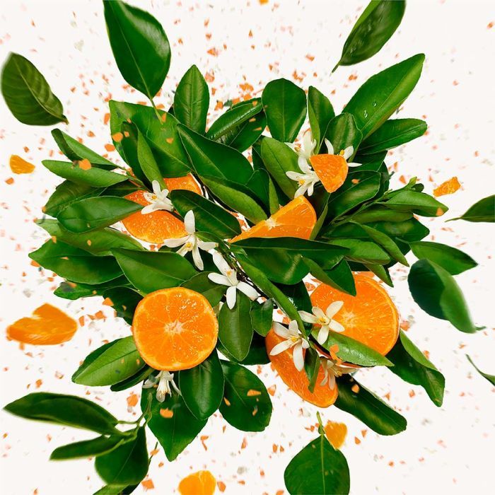 Парфюмированная вода Gucci Flora Gorgeous Jasmine 50 мл (3616302968534) изображение 6