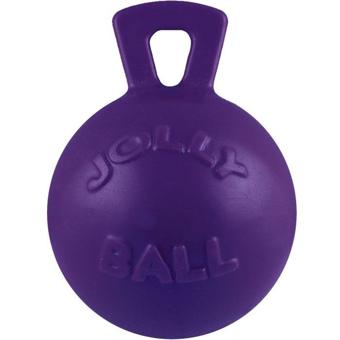 Игрушка для собак Jolly Pets Tug-n-Toss Гиря фиолетовая 11 см (0788169044553)