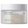 Маска для обличчя Neogen Dermalogy Real Heartleaf Soothing Daily Mask 40 шт (8809653248683)
