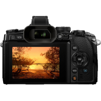 Цифровой фотоаппарат Olympus E-M1 12-40 Kit black/black (V207017BE000) изображение 4