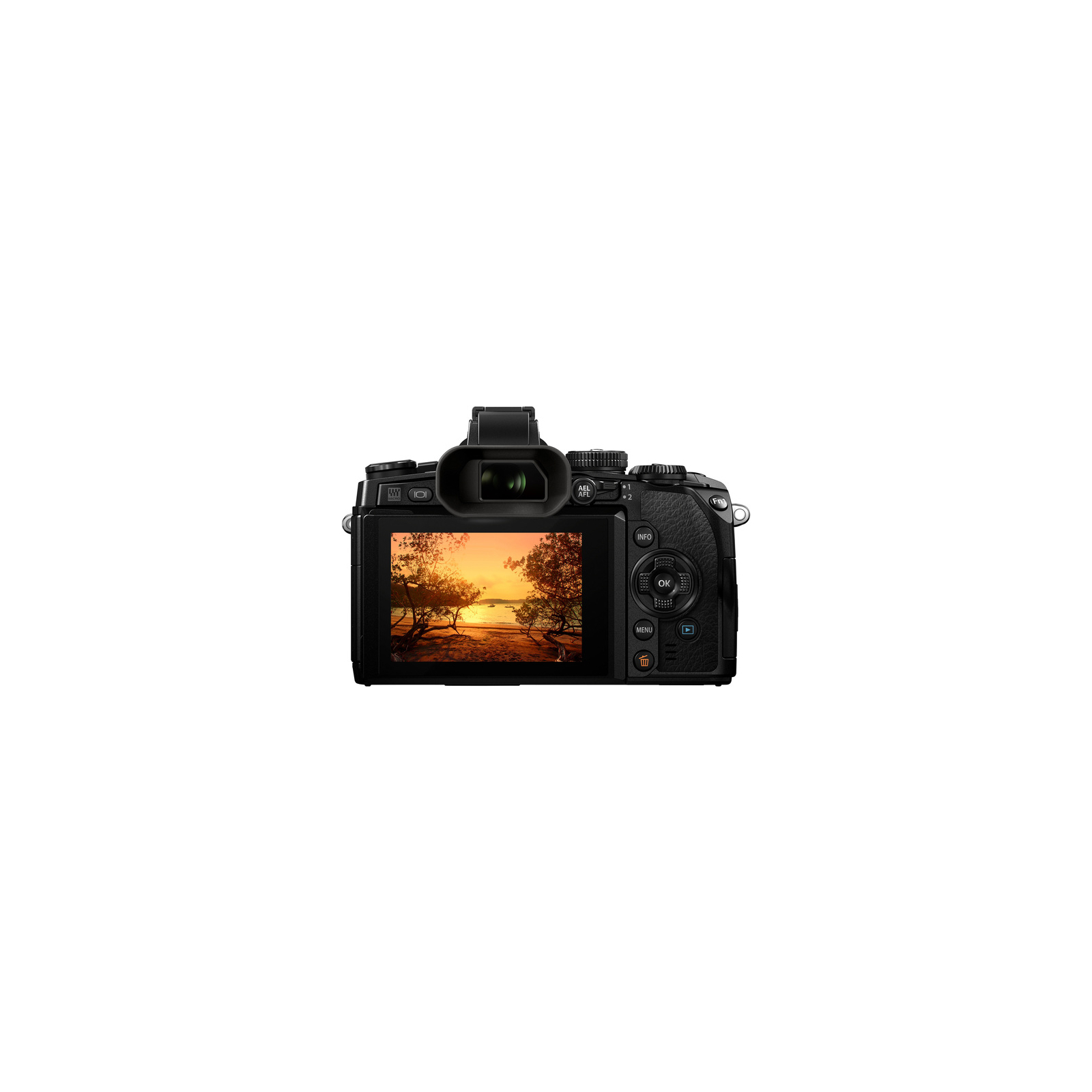 Цифровий фотоапарат Olympus E-M1 12-40 Kit black/black (V207017BE000) зображення 4
