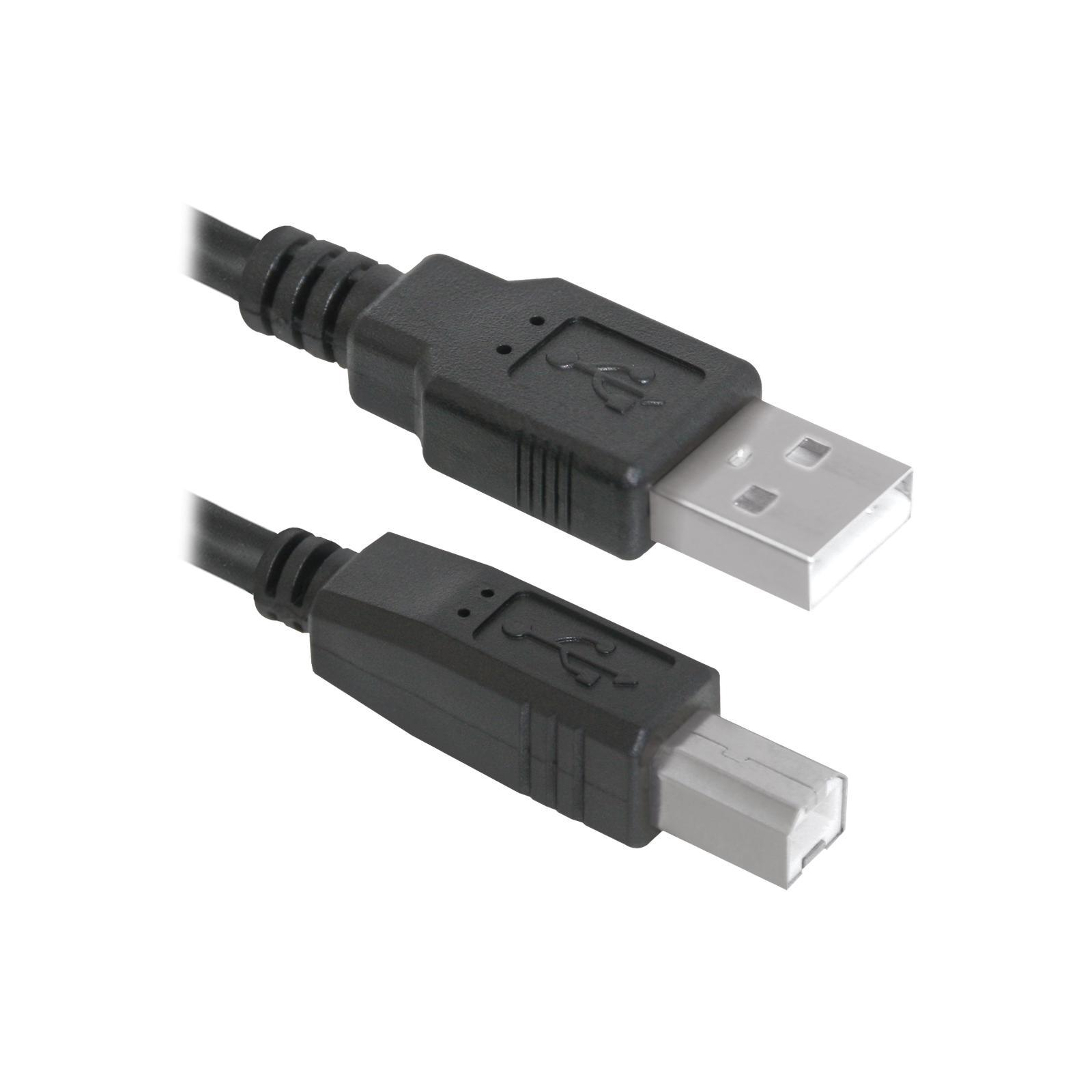 Кабель для принтера USB 2.0 AM/BM 3m USB04-10 Defender (83764) зображення 2