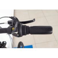 Велосипед Trinx Dolphin 1.0 20" Matt-Grey (DOL1.0MGG) изображение 7