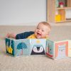 Розвиваюча іграшка Taf Toys книжка-розкладушка - Веселі пригоди (12385) зображення 5