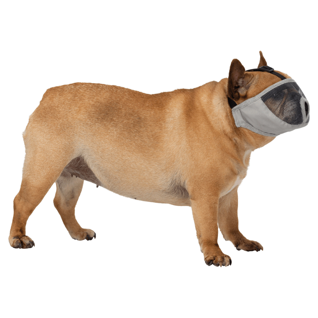 Намордник для собак Trixie для брахицефалов тканевый S-М 40 см Серый (4057589176271) изображение 2