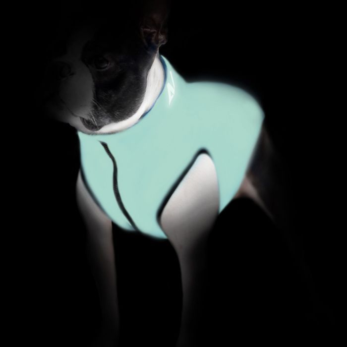 Курточка для тварин Airy Vest Lumi двостороння S 35 м'ятно-блакитна (2237) зображення 3