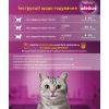 Вологий корм для кішок Whiskas TastyMix Лосось, Морква 85 г (4770608262457) зображення 5