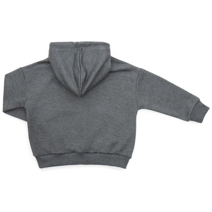 Кофта дитяча Cloise худі CLS (CL0115009-116B-gray) зображення 2