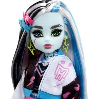 Кукла Monster High Фрэнки Монстро-классика (HHK53) изображение 4