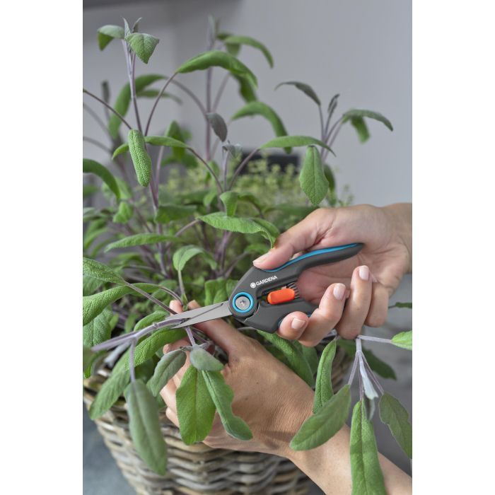 Ножиці садові Gardena FreshCut для трави і квітів (12212-20.000.00) зображення 10