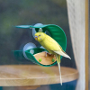 Универсальная посуда для животных Hape Кормушка для птиц на окно (E5585) изображение 4