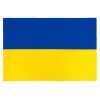 Флаг Vinga Украина, государсвенный, 90*140см (VFUSDB140G)