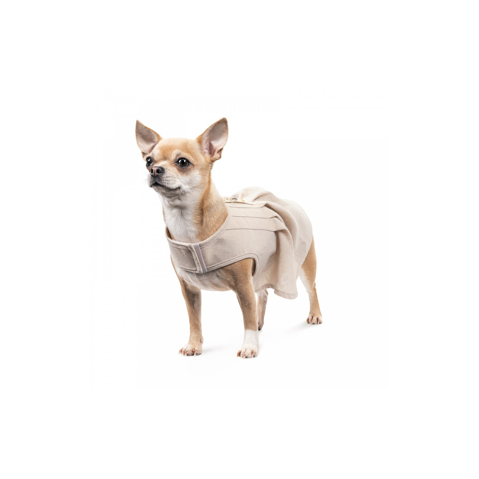 Платье для животных Pet Fashion Miya XS2 (4823082434473) изображение 3