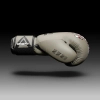 Боксерские перчатки Phantom Fight Squad Sand 12 унцій (PHBG2407-12) изображение 2
