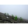 Дощовик Turbat Molfar green M/L (012.005.0011) зображення 6