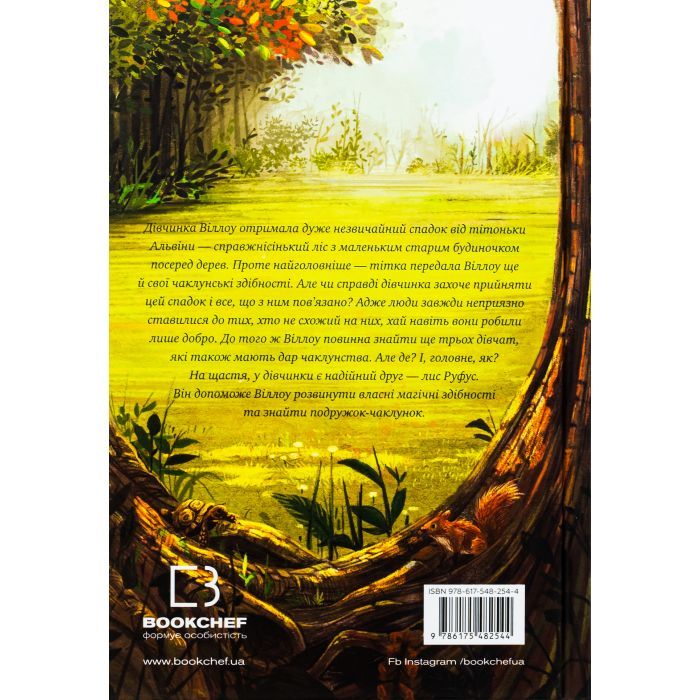 Книга Дівчинка на ім'я Віллоу - Забіне Больман КСД (9786175482544) зображення 2