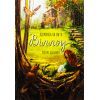 Книга Дівчинка на ім'я Віллоу - Забіне Больман КСД (9786175482544)