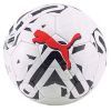 Мяч футбольный Puma Orbita 3 TB (FIFA Quality) 083776-03 білий 5 (4065451614417)