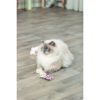 Игрушка для кошек Trixie Медведь с кошачьей мятой 12 см (4011905456652) изображение 8