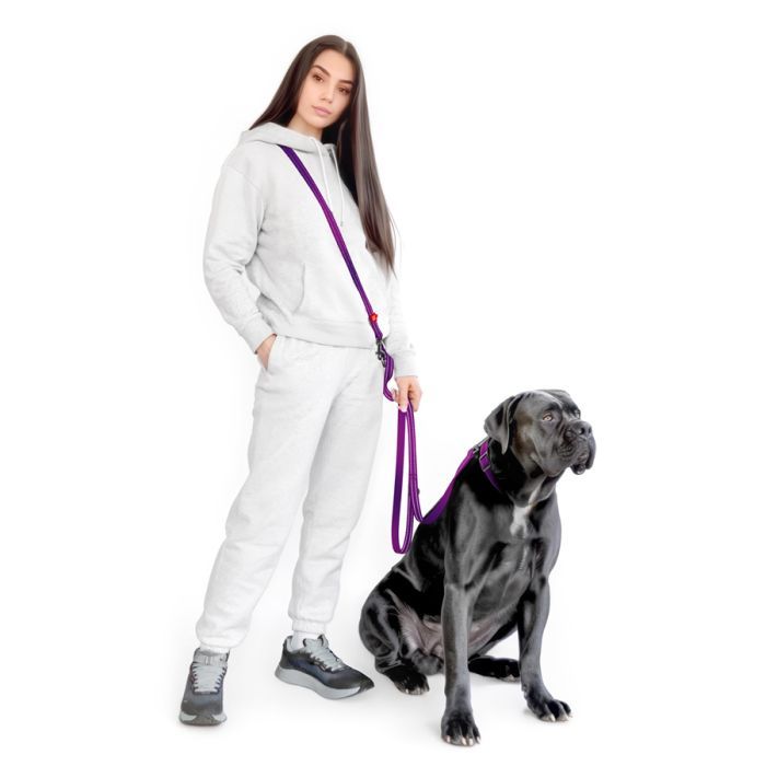 Поводок для собак WAUDOG Nylon Mono светоотражающий М черный (46481) изображение 4