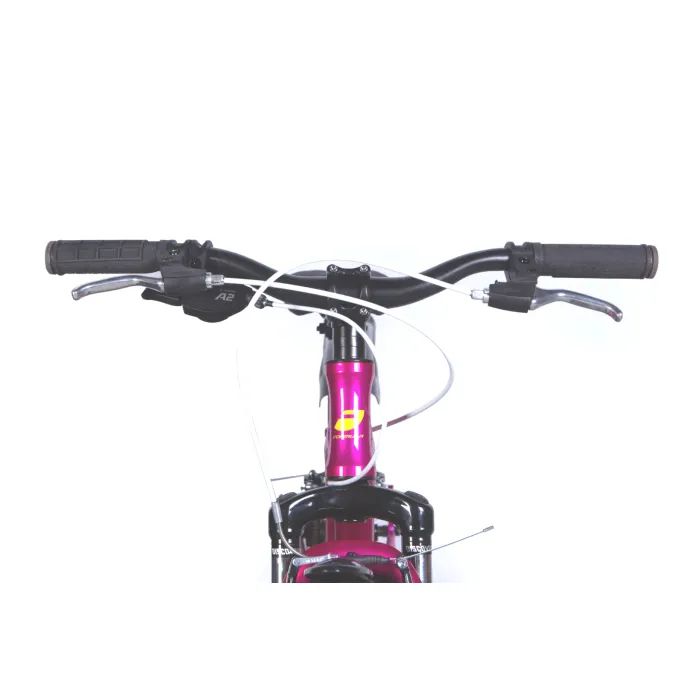 Велосипед Formula 20" BLACKWOOD Vbr FR рама-11" AL 2026 малиновий (OPS-FR-20-106) зображення 6