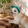 Кепка для животных Pet Fashion Topaz ХL (4823082445943) изображение 5