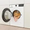 Стиральная машина Gorenje WG4S84B1 изображение 3
