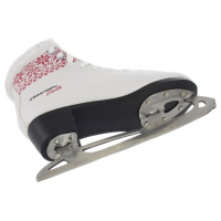 Коньки Tempish NORTH 42 (1300001615/42) изображение 4