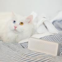 Акустическая система Xiaomi Bluetooth Speaker Basic 2 White (FXR4066GL) изображение 4