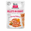 Влажный корм для кошек Brit Care Cat pouch 85 г (пикантный лосось в соусе) (8595602540525)