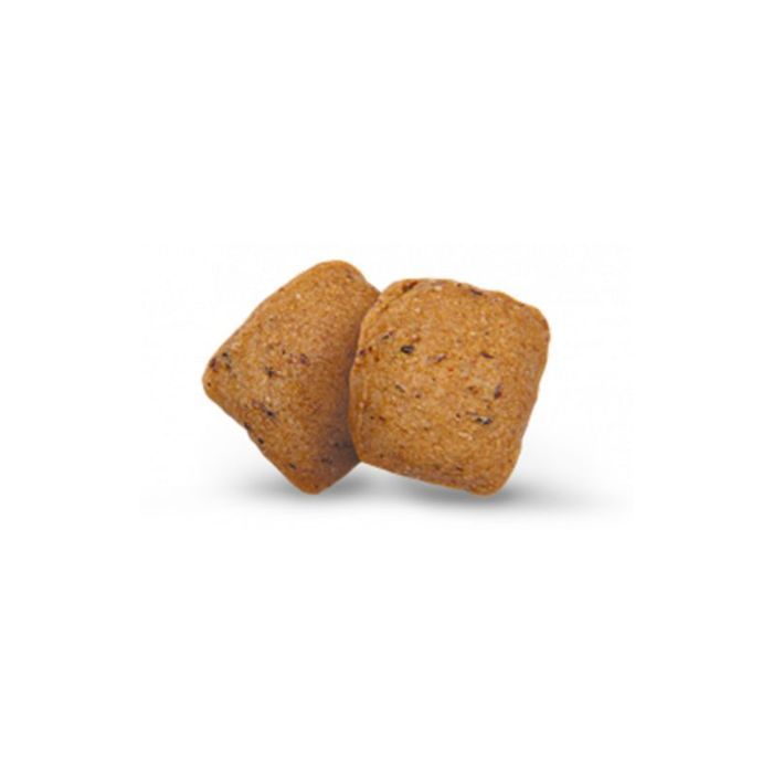 Сухой корм для собак Green Petfood InsectDog Hypoallergen 900 г (4032254748052) изображение 3