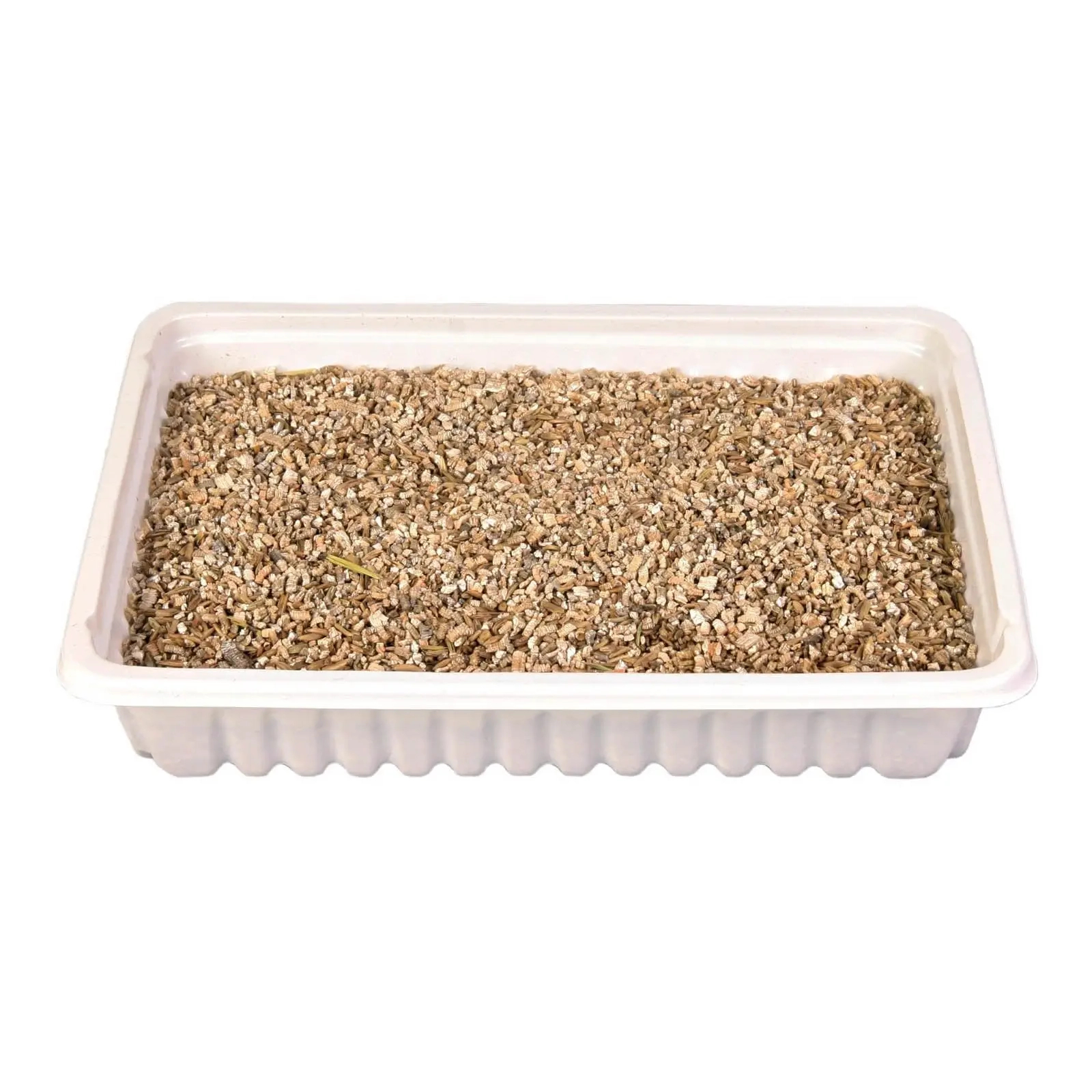 Лакомство для котов Trixie Семена травы (ячмень) 100 г контейнер (4011905042350) изображение 2