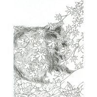 Книга Майже мільйон собак - Лулу Майо Жорж (9789669763266) изображение 8