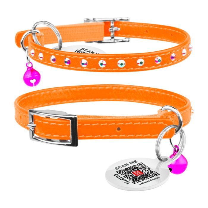 Нашийник для тварин WAUDOG GLAMOUR з резинкою і стразами для кішок (ментоловий) (325413) зображення 4