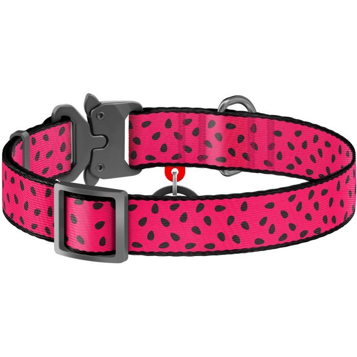 Ошейник для животных WAUDOG Nylon "Арбуз" металлическая пряжка-фастекс XL (5150) изображение 2